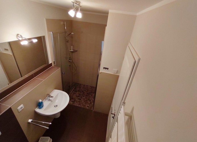 Gäste-WC mit Dusche im Erdgeschoss